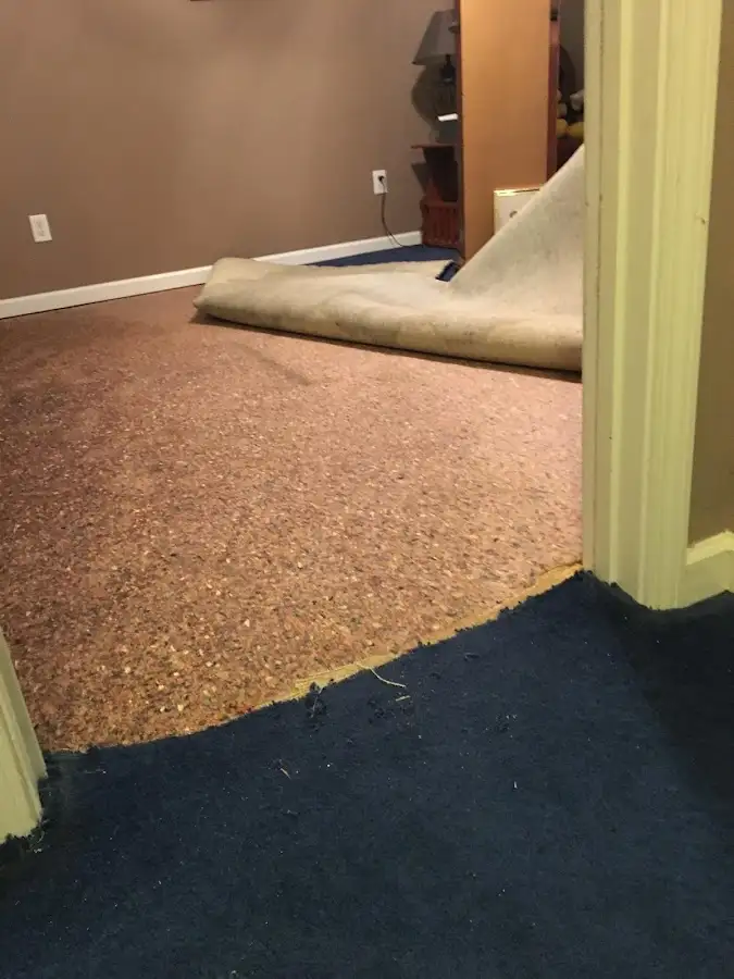 Carpet pad removal revealing water damage during Water Mitigation Services in Rifle