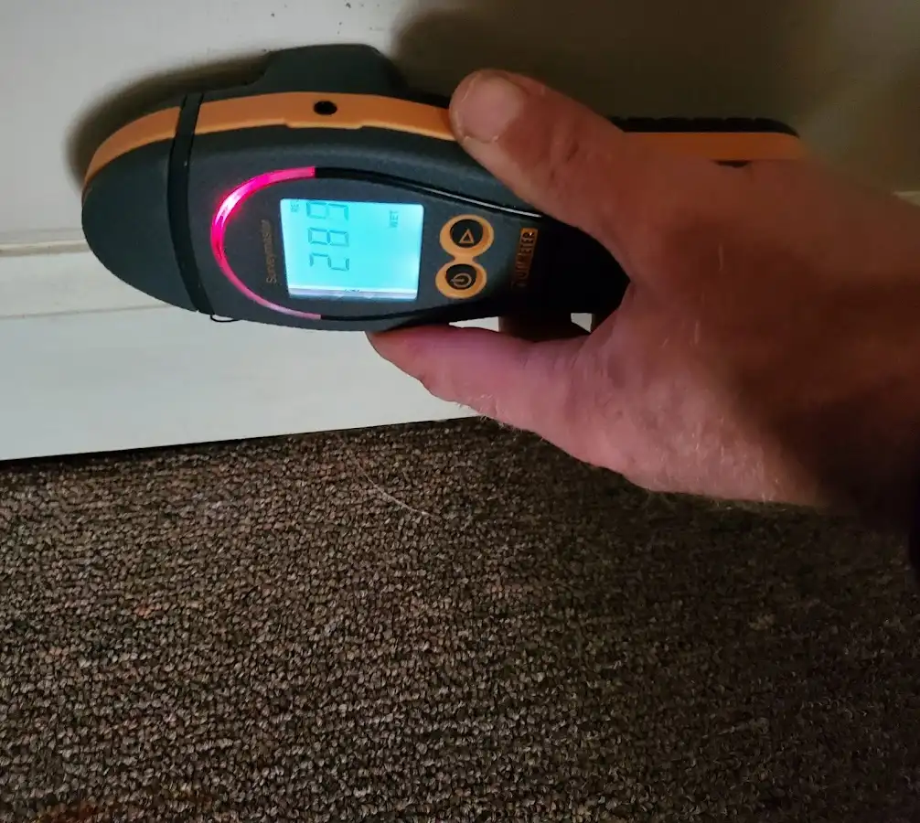 Moisture detection at baseboard during Sewage Cleanup & Sanitation in Rifle